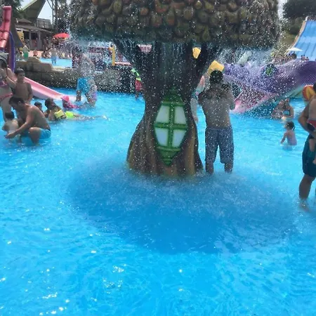 Sunny Holiday *