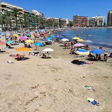 Sunny Holiday * تورّيفيِخا