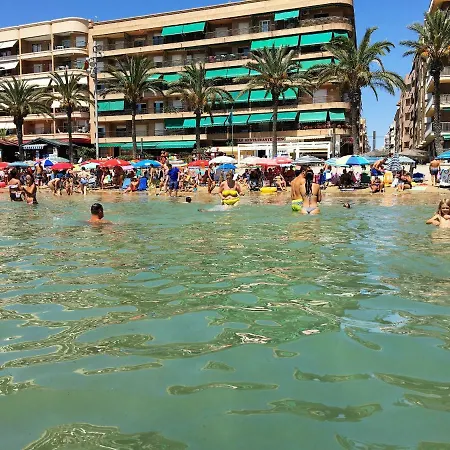 Sunny Holiday تورّيفيِخا