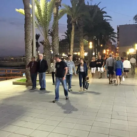 Sunny Holiday تورّيفيِخا