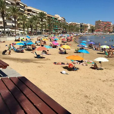 Sunny Holiday تورّيفيِخا